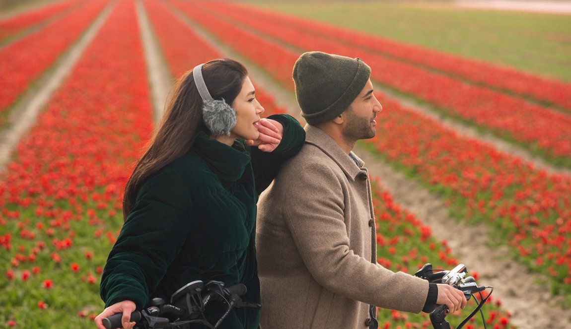 Dutch heritage: what is it and where can you find it? - Holland.com